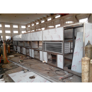 DWT系列脱水蔬菜干燥机